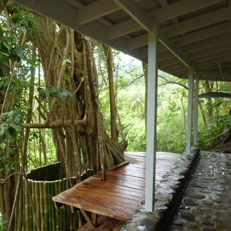 Citrus Creek Plantation Villa La Plaine Kültér fotó