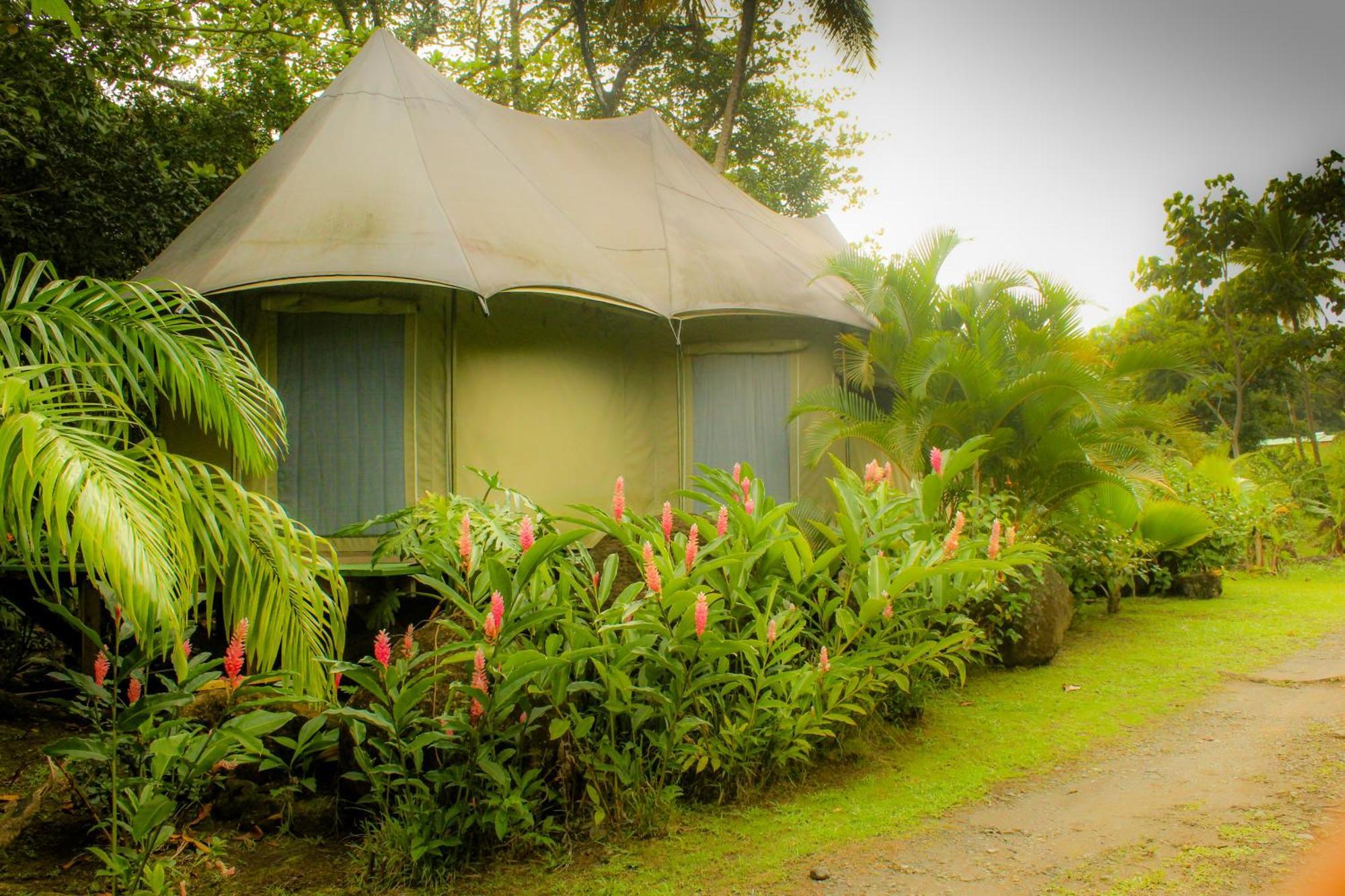 Citrus Creek Plantation Villa La Plaine Szoba fotó