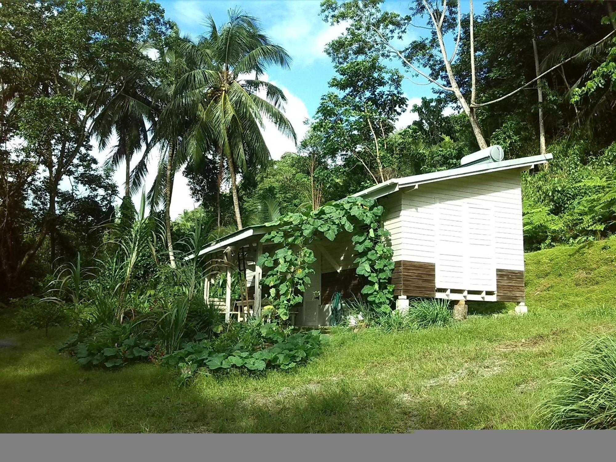 Citrus Creek Plantation Villa La Plaine Szoba fotó